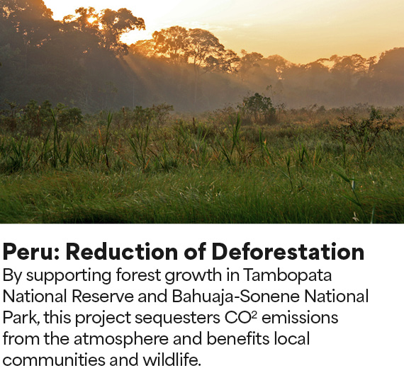 View Deforestation Certificate