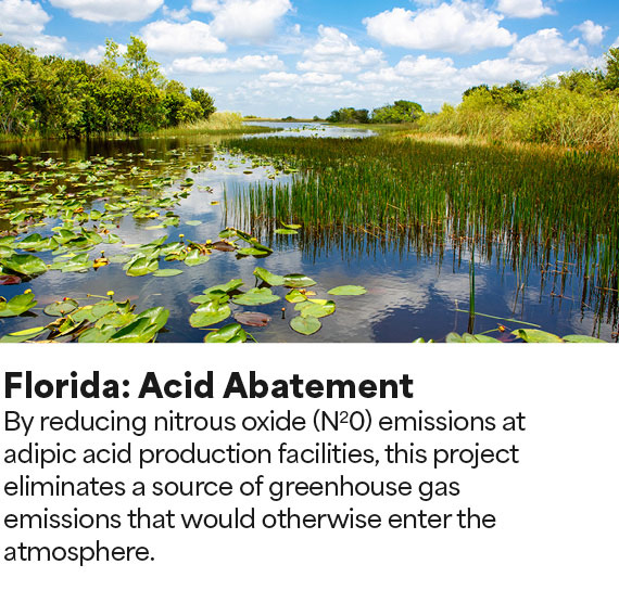 View Acid Abatement Certificate