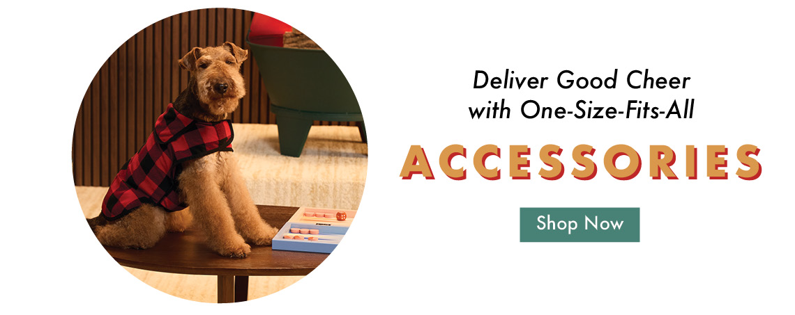 Shop Holiday Accessories 